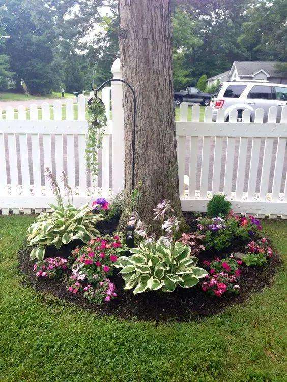 Hydrangea tree