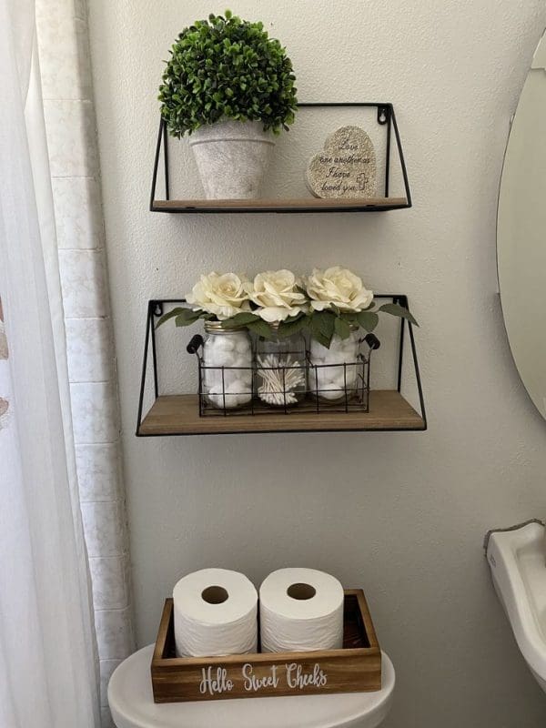 mini succulent shelf