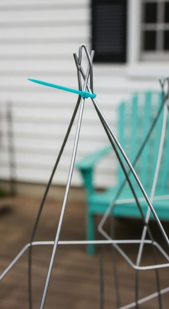 zip tie lock tomato cage