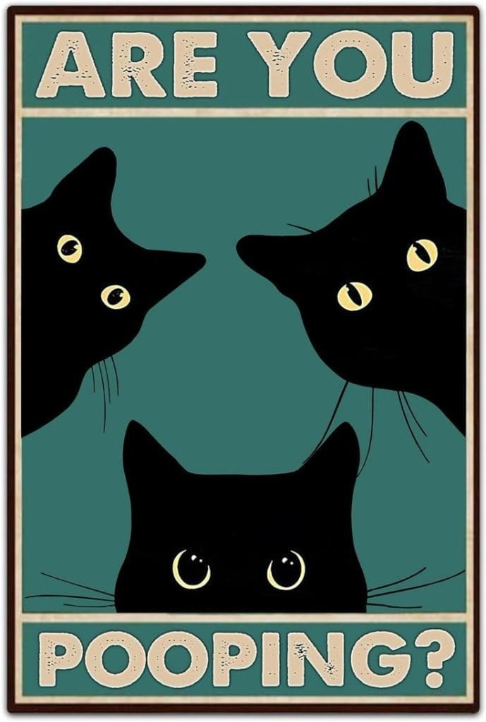 cat toilet posters