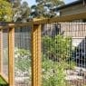 Cheap Privacy Fence Ideas