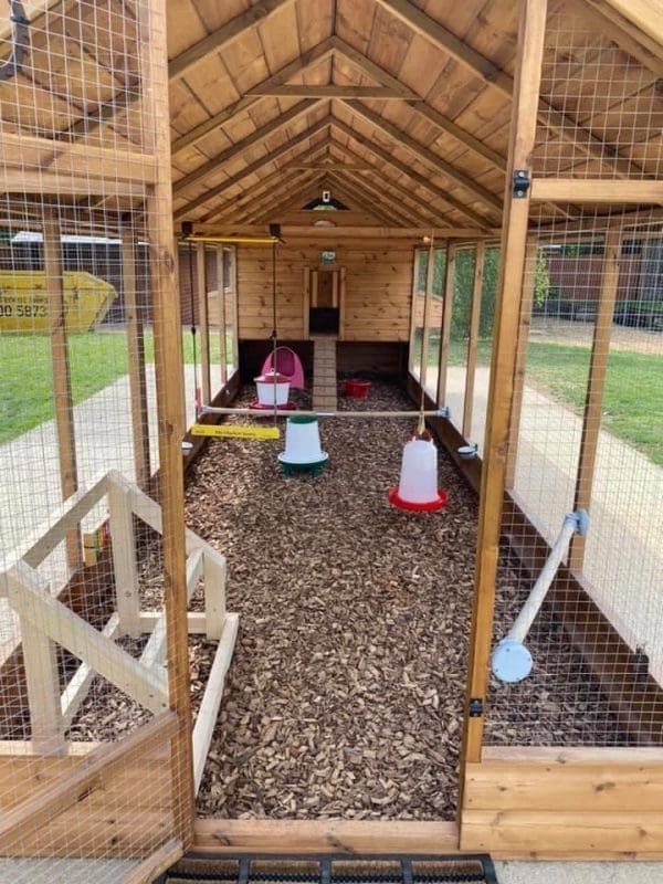 human access chicken run