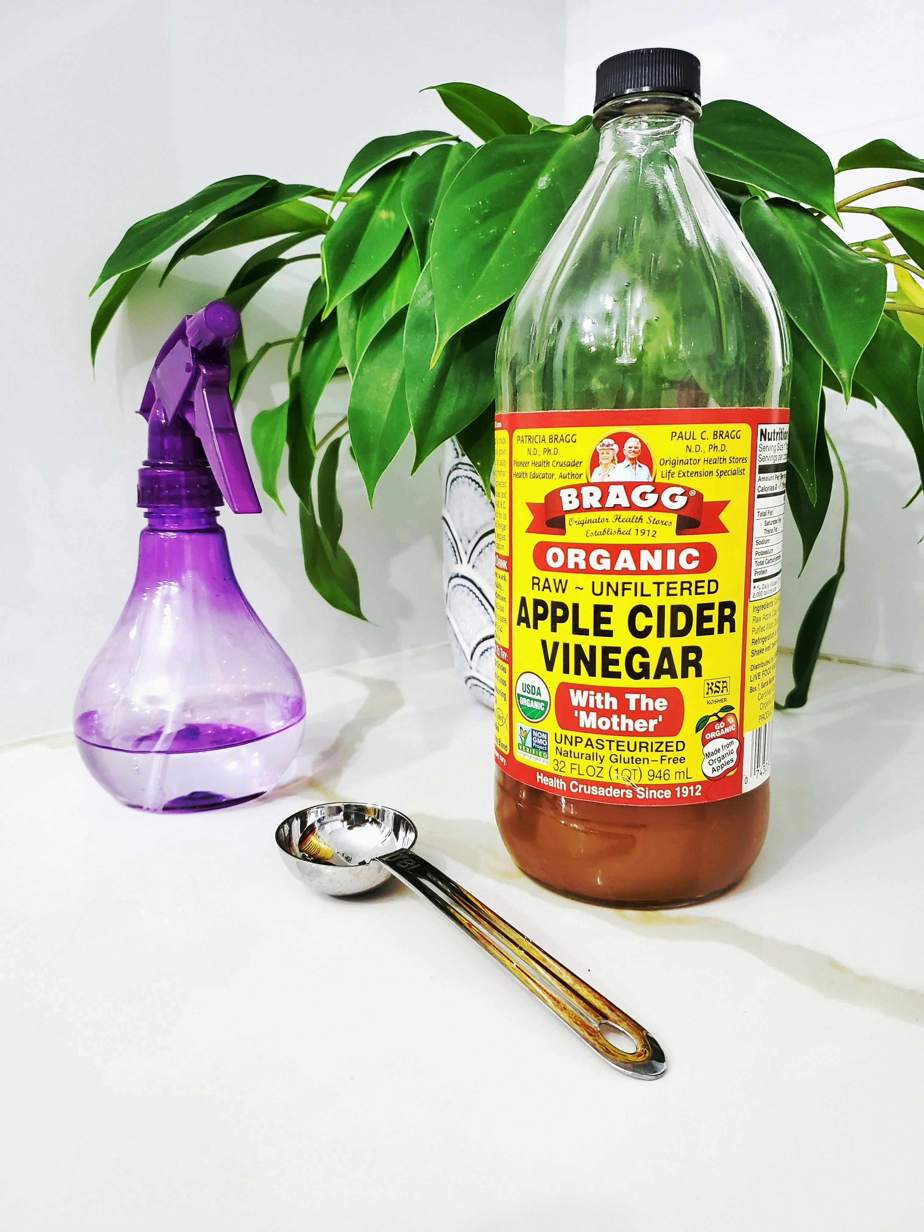 Gnat Repellent Ideas apple cider vinger