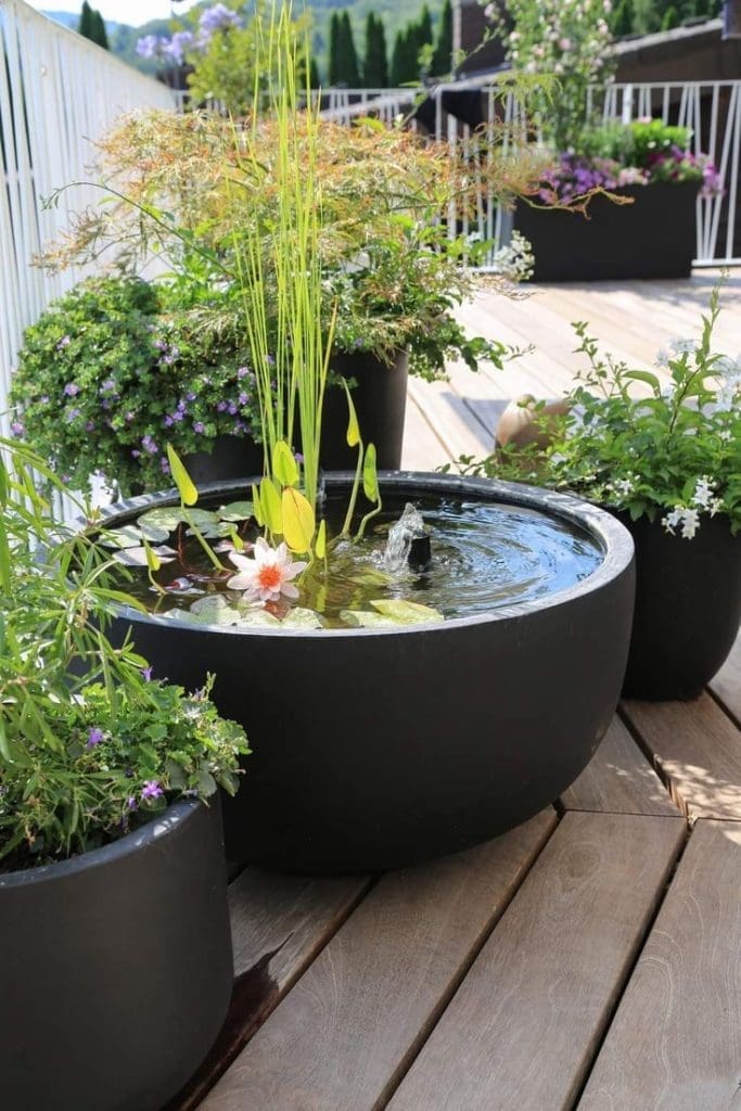 pond in a planter tub