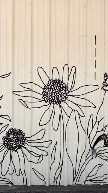 monochrome simple floral outline on the side of a shed