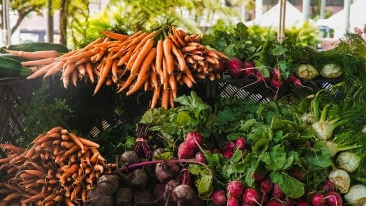 Veggies to Plant in September