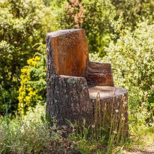 stump being turned into a chair or stool