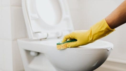 DIY toilet cleaner