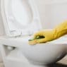 DIY toilet cleaner