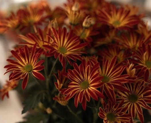 fall flower ideas for september