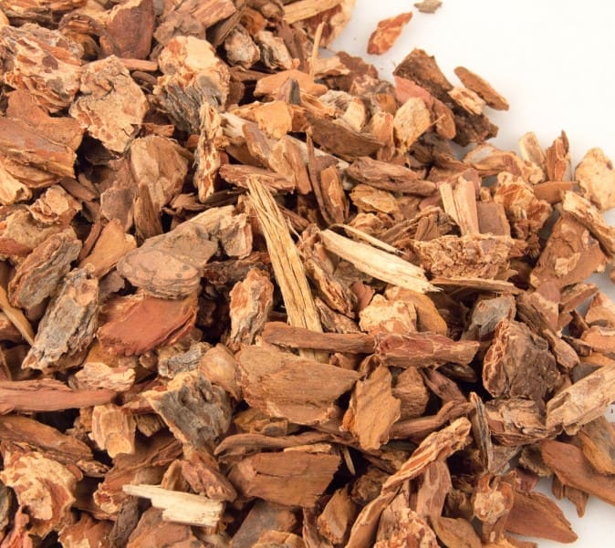 orchid potting bark