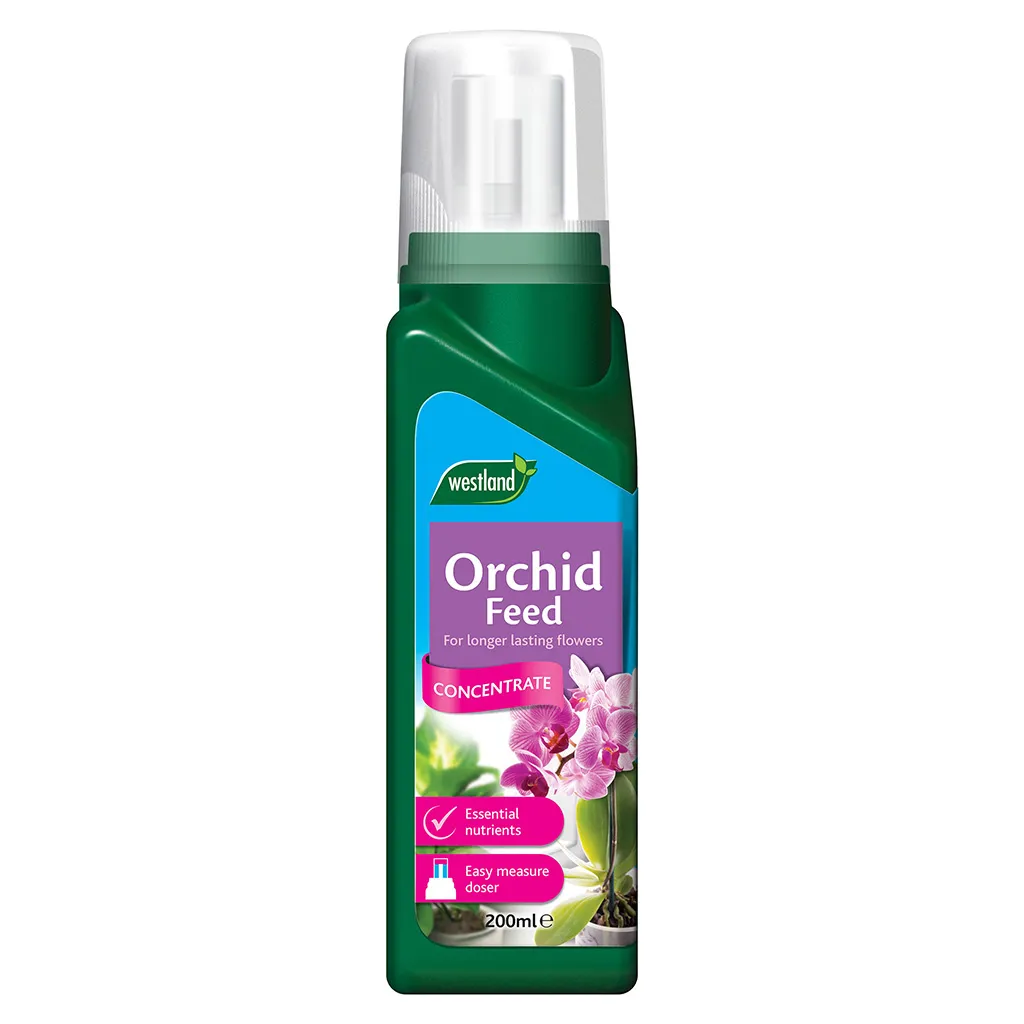 orchid feed