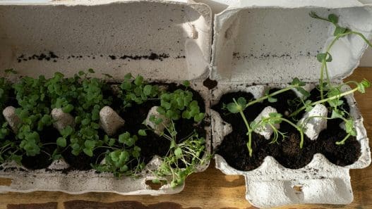 diy planter ideas