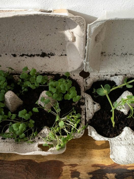 diy planter ideas