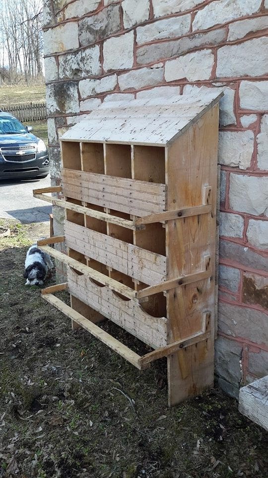 Ladder style chicken nesting box with tiered nesting boxes for chicken