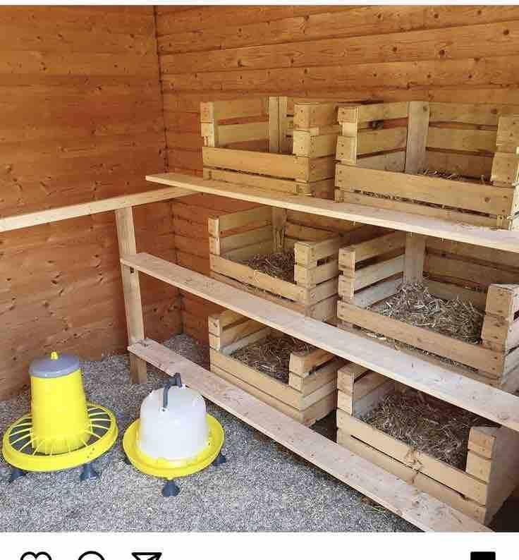 chicken nesting boxes made from old crates