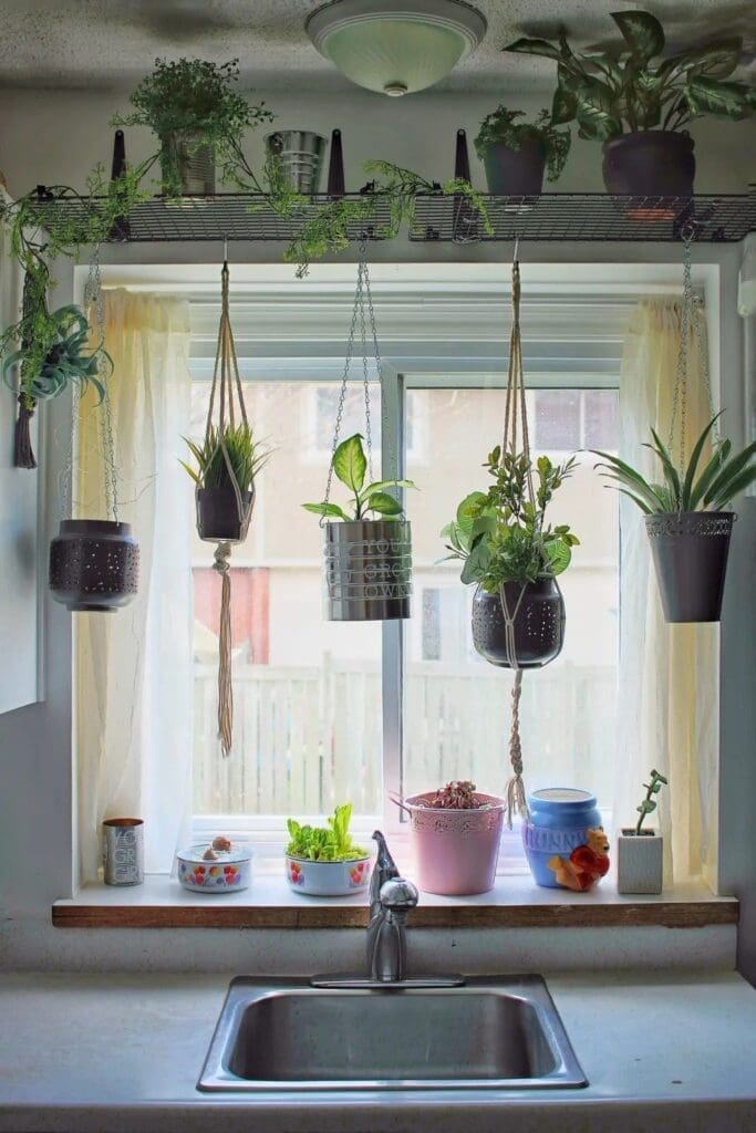 a DIY rail hanging above kitchen sink with hanging planters full of herbs for DIY herb planter