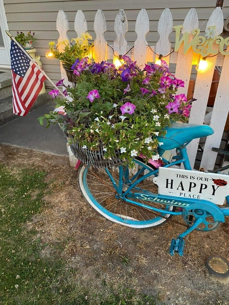 Blue bike with wicker basket on the front used as a geranium planter