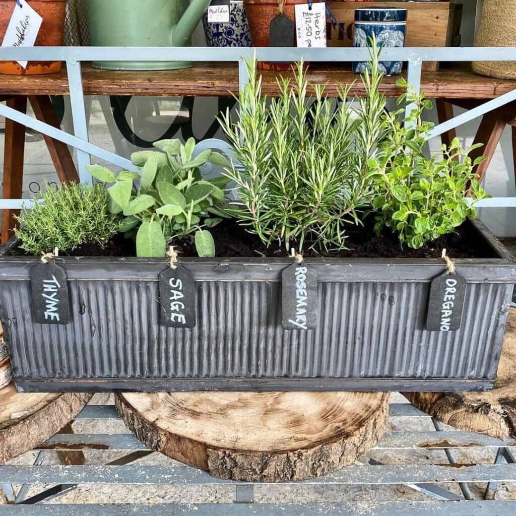 herbs in a metal trough on a tree stump