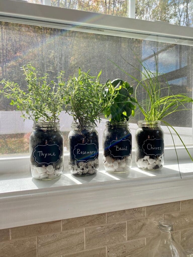 herb planters in old mason jars full of kitchen herbs