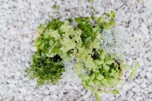 herb planter ideas