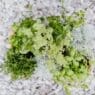 herb planter ideas