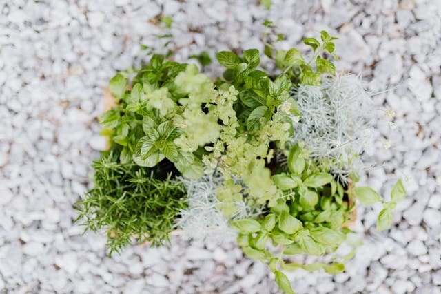 herb planter ideas
