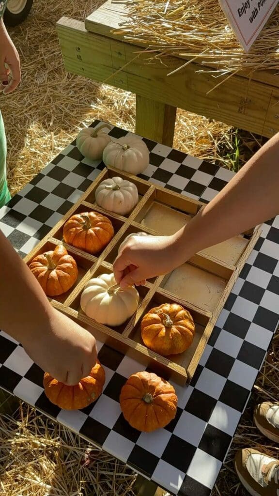 pumpkin tik tac toe in a wooden box