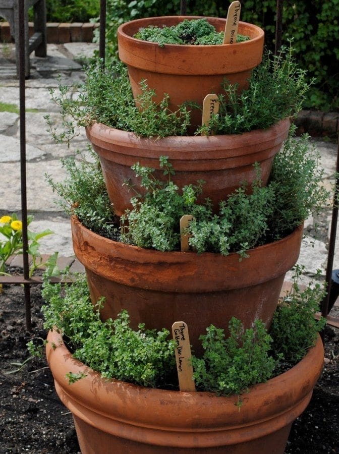 herbs stacked in clay pots 