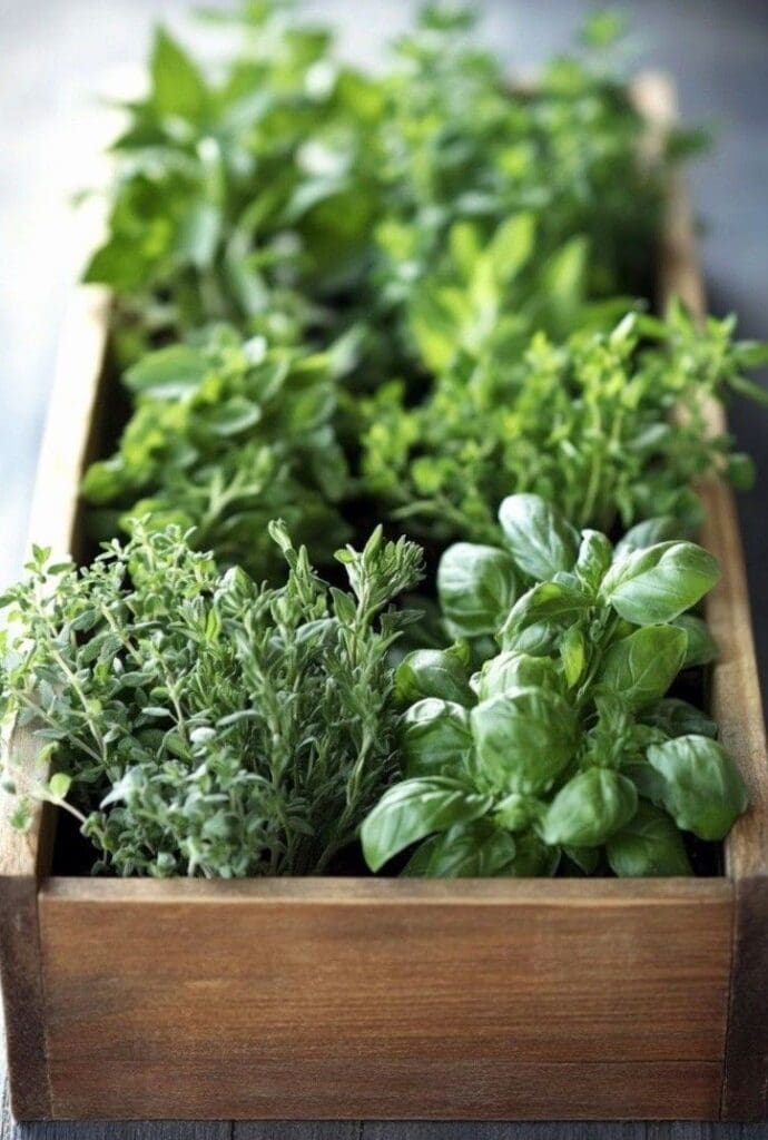 herbs in a wooden crate in kitchen